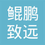 鯤鵬致遠(yuǎn)(北京)企業(yè)形象策劃 塑造卓越品牌，引領(lǐng)企業(yè)未來(lái)