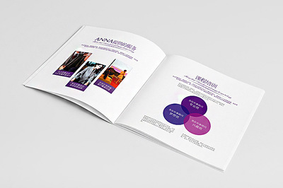 安娜品牌形象色彩畫(huà)冊(cè)設(shè)計(jì) - 深圳市頂點(diǎn)企業(yè)形象策劃專業(yè)設(shè)計(jì)服務(wù)
