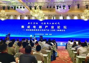 集成電路產業在合肥 專家智囊團成立，企業數字化建設迎新機遇